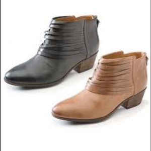 Clark’s Spye Celeste